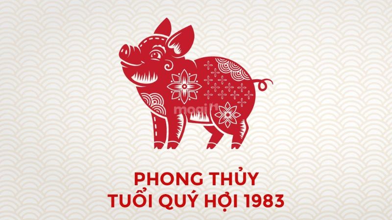 Tổng quan về tuổi Qúy Hợi 1983