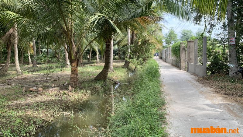 Bảng giá bán đất vườn Bến Tre mới nhất