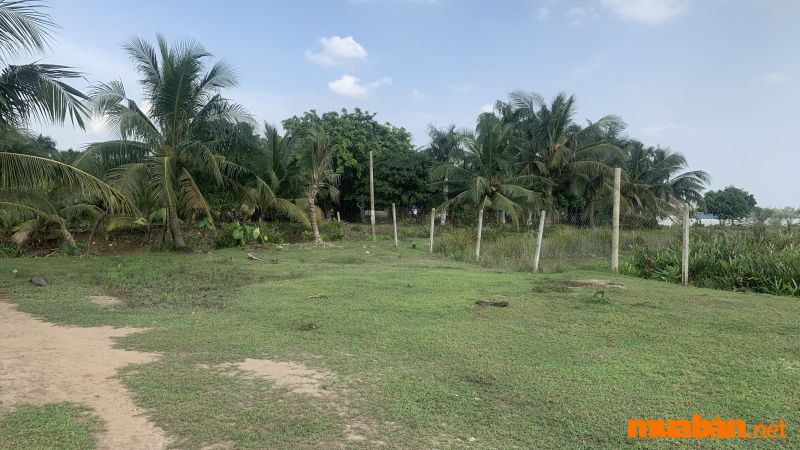 Đất vườn Thành phố Bến Tre 
