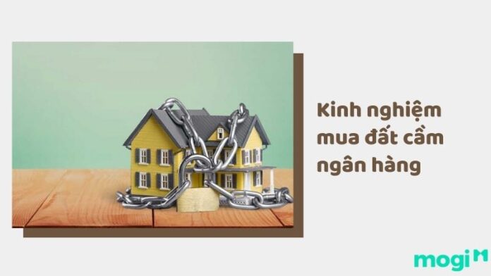 Kinh nghiệm mua đất cầm ngân hàng