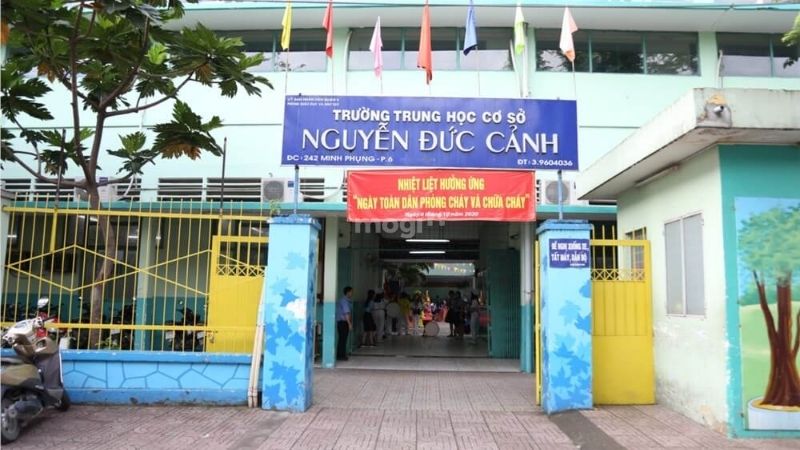 Các trường học gần Vòng xoay Cây Gõ