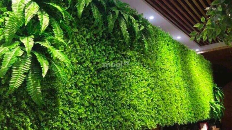 Trang trí tường quán cafe bằng cây xanh tạo sự mát mẻ