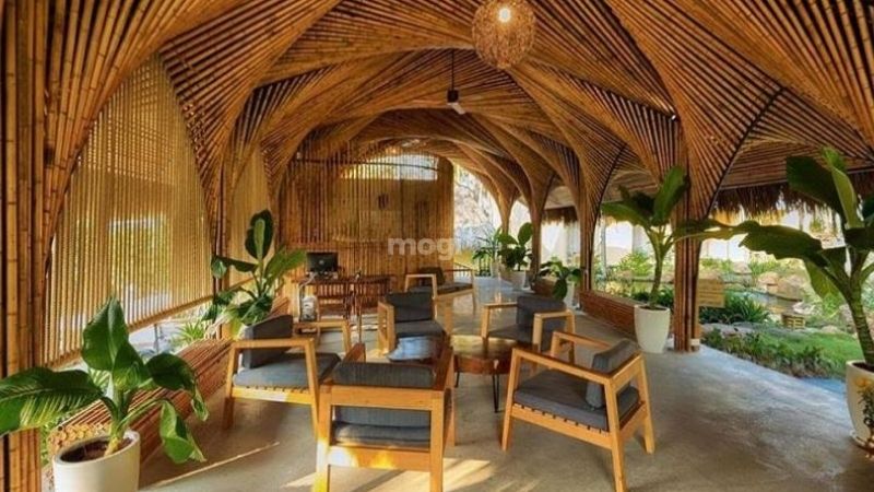 Trang trí trần quán cafe bằng tre trúc