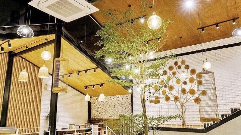 Trang trí trần quán cafe kết hợp cây xanh 