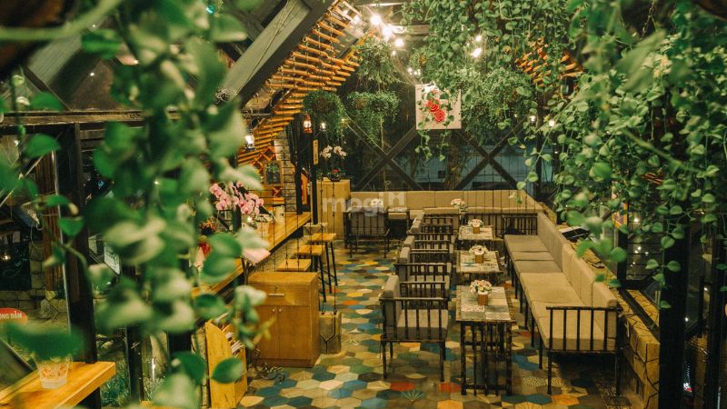 Thiết kế quán cafe sân vườn theo phong cách rừng nhiệt đới 