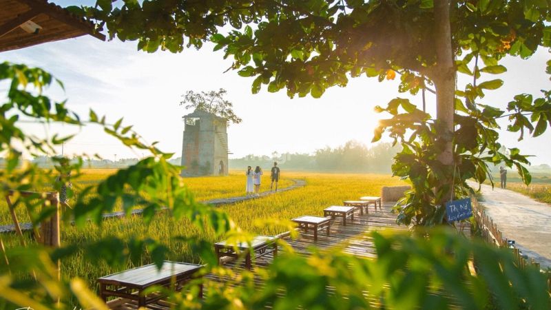 Thiết kế quán cafe sân vườn theo phong cách đồng quê Việt Nam thơ mộng 