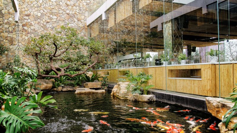 Thiết kế quán cafe sân vườn theo phong cách mở kết hợp hồ cá KOI 