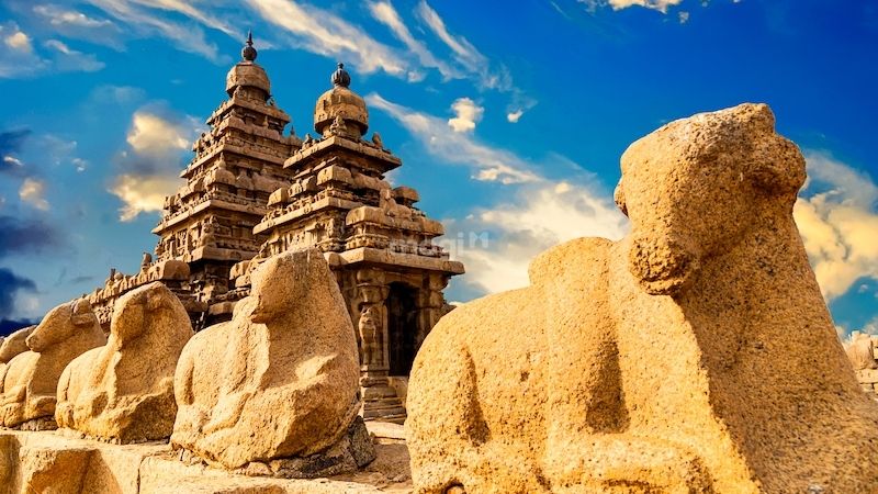 Nghệ thuật điêu khắc đá ở Mahabalipuram thể hiện sự đa dạng và phong phú