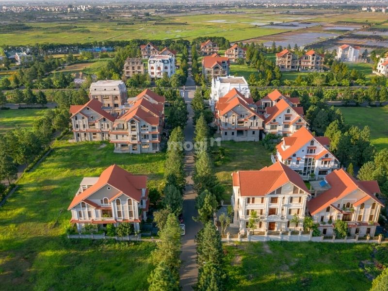 Dự án The Phoenix Garden