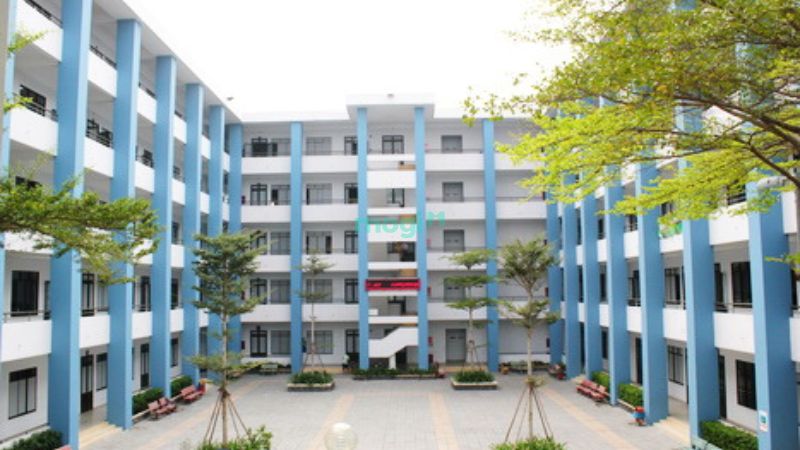 Trường Đại học, Cao đẳng