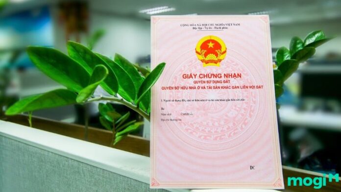 Quy định luật đất đai 2024: Người đứng tên sổ đỏ có quyền gì lợi gì?