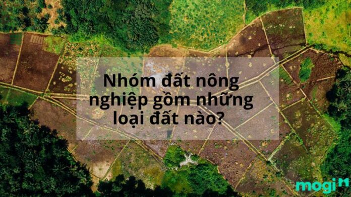 Nhóm đất nông nghiệp gồm những loại đất nào? Điều kiện để mua bán đất nông nghiệp theo Luật đất đai 2013.