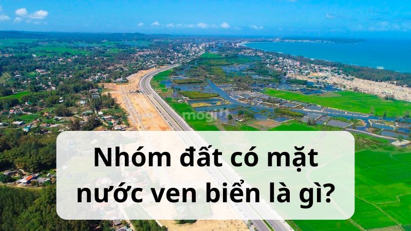 Nhóm đất có mặt nước ven biển là gì?