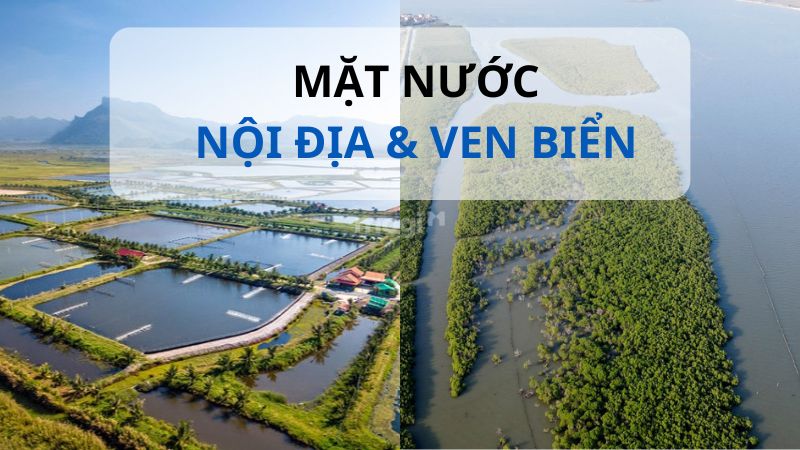 Điểm khác biệt giữa nhóm đất có mặt nước nội địa và đất có mặt nước ven biển