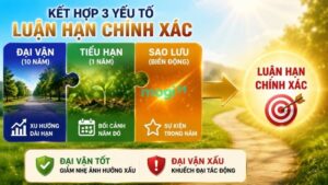 Các Sao Lưu trong tử vi: Trọn bộ ý nghĩa & Bí quyết cải vận 12 Bắt buộc kết hợp với Đại vận, Tiểu hạn để luận sao Lưu chính xác hơn