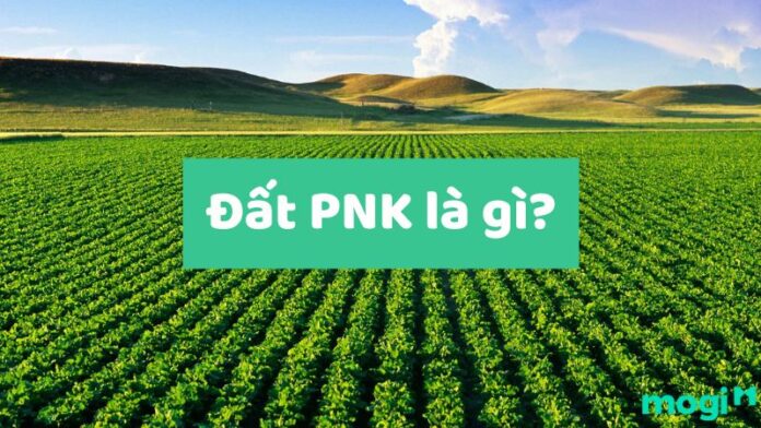 PNK là đất phi nông nghiệp khác. Đối với đất SX nông lâm nghiệp