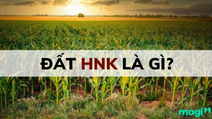 HNK là đất gì? Những thông tin cần biết về đất HNK