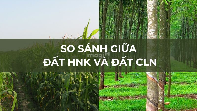 Phân biệt đất HNK và đất CLN