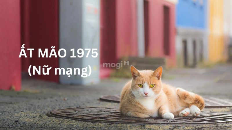 Hướng nhà hợp nữ mạng tuổi Ất Mão 1975