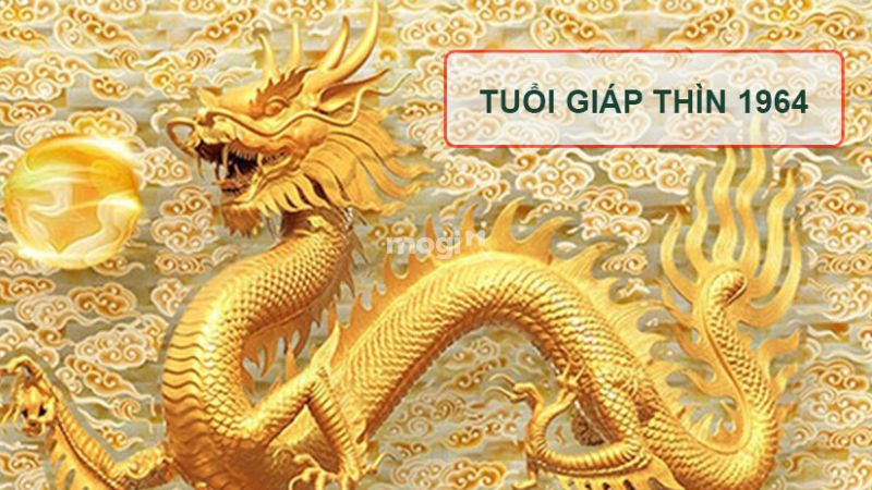 Tổng quan về tuổi Giáp Thìn 1964 hợp hướng nào