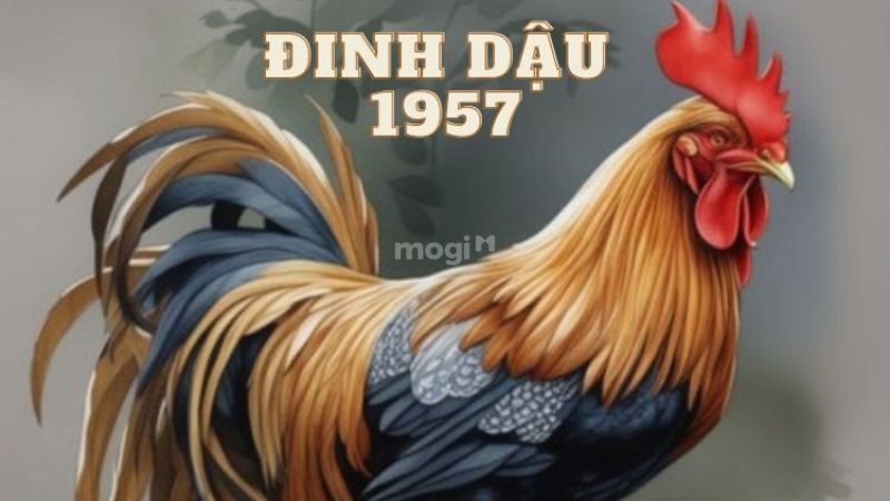 Tổng quan về tuổi Đinh Dậu 1957