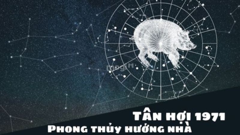 Tổng quan về tuổi Tân Hợi 1971