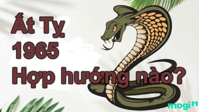 Tuổi Ất Tỵ 1965 hợp hướng nào và cách bố trí nhà ở hợp phong thủy cho tuổi này