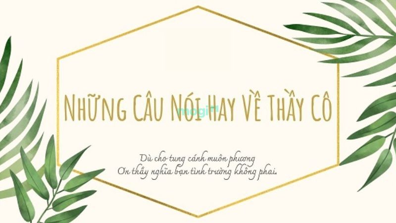 Những câu nói hay về tình thầy trò