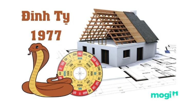 Người tuổi Đinh Tỵ 1977 hợp hướng nào nhiều tài lộc nhất?