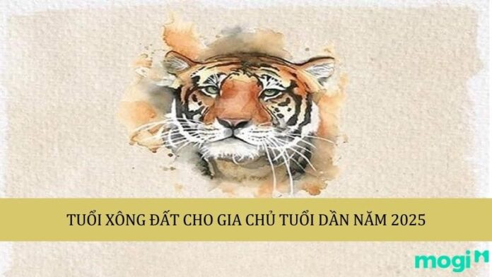 Cách chọn tuổi xông đất cho tuổi Dần