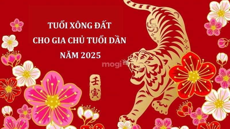 Cách chọn tuổi xông đất cho gia chủ tuổi Dần năm 2025 thu hút tài lộc