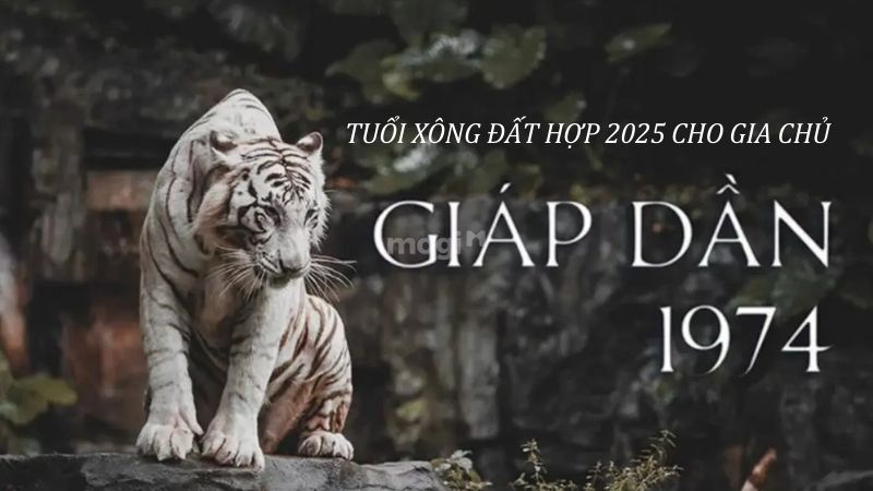 Tuổi xông đất cho tuổi Giáp Dần 1974