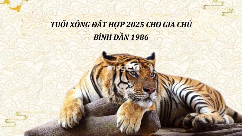 Tuổi xông đất cho tuổi Bính Dần 1986