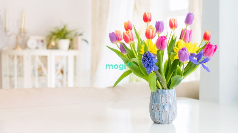 Hoa tulip tượng trưng cho sự giàu sang, phú quý và may mắn