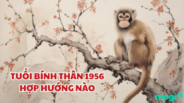 TÌm hiểu tuổi Bính Thân 1956 hợp hướng nào - Nguồn: Internet