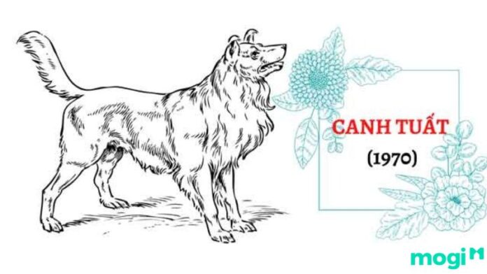 Tuổi Canh Tuất 1970 hợp hướng nào hậu vận tốt nhiều may mắn