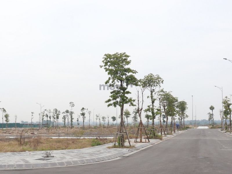 Người mua đất cần xác định rõ nhu cầu và mục đích sử dụng