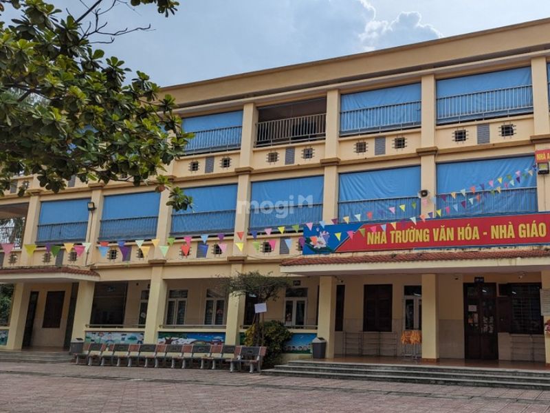 Xem xét về những tiện ích xung quanh như trường học, siêu thị… 