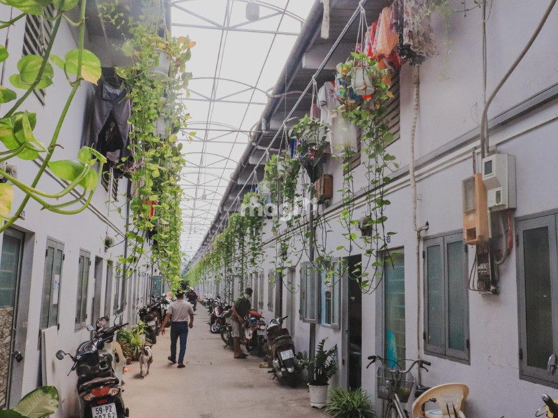 An ninh khu vực Vạn Kiếp được đảm bảo