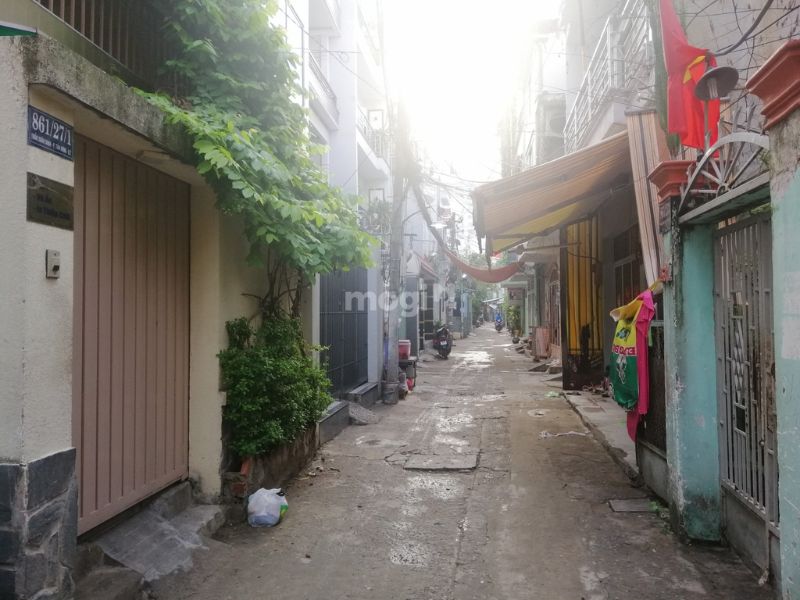 Quan sát môi trường sống xung quanh