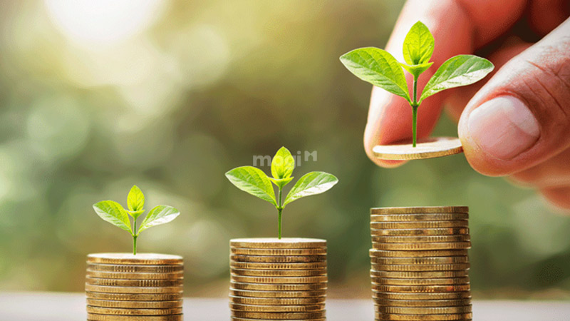 Đất lọt khe là gì? Có nên chọn mua đất lọt khe không? 5 Khả năng sinh lời cao và tiết kiệm được chi phí