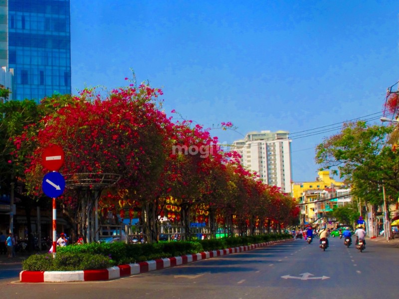 Bán nhà đường Hoàng Diệu Quận 4