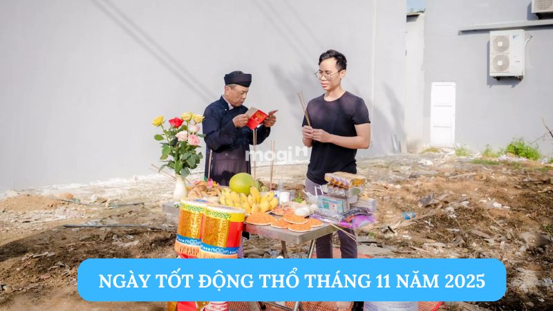 Ngày tốt động thổ tháng 11 năm 2025: Khởi đầu hanh thông 1 Ngày tốt động thổ tháng 11 năm 2025: Khởi đầu hanh thông