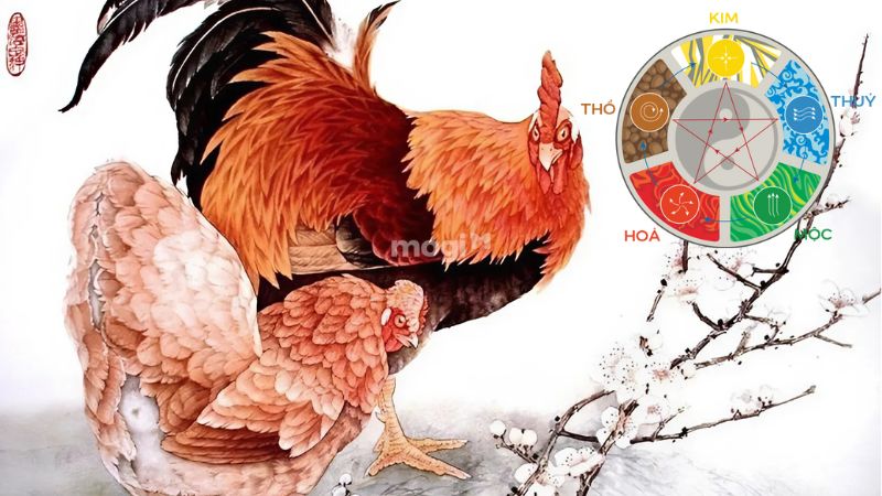 Ngũ hành tuổi Tân Dậu 1981 năm 2025 nữ mạng