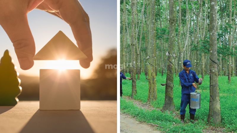 Đất Trồng Cây Lâu Năm Có Được Xây Nhà Không? Mới Nhất 2025 3 Việc tự ý xây dựng nhà trên đất trồng cây lâu năm không được pháp luật cho phép