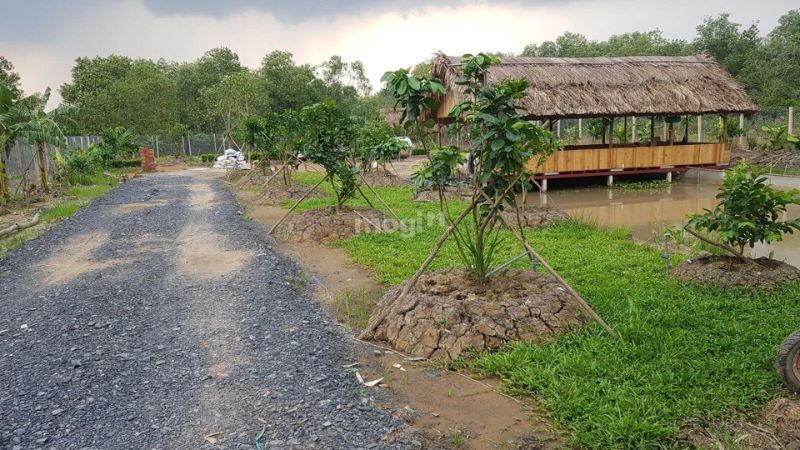 Đất Trồng Cây Lâu Năm Có Được Xây Nhà Không? Mới Nhất 2025 4 Tùy thuộc vào diện tích đất vi phạm và vị trí địa lý sẽ có mức phạt khác nhau