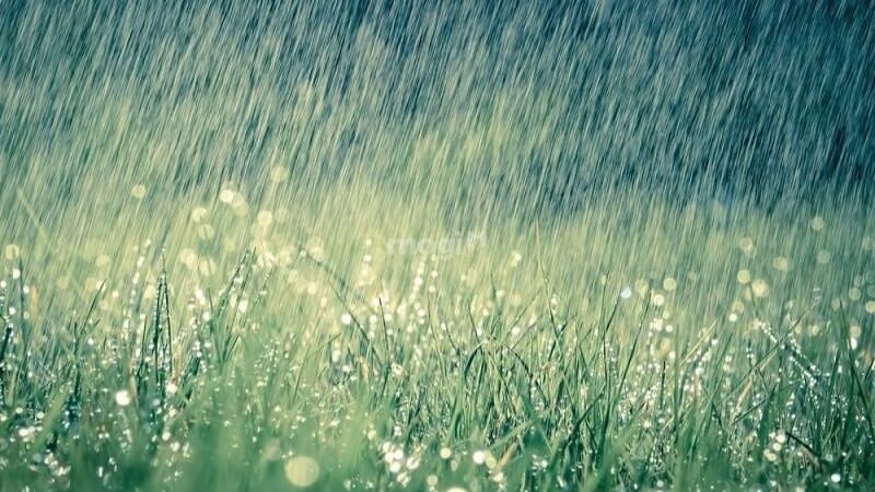 Giấc mơ thấy mưa là điềm báo tốt hay xấu còn tùy thuộc vào tình huống cụ thể