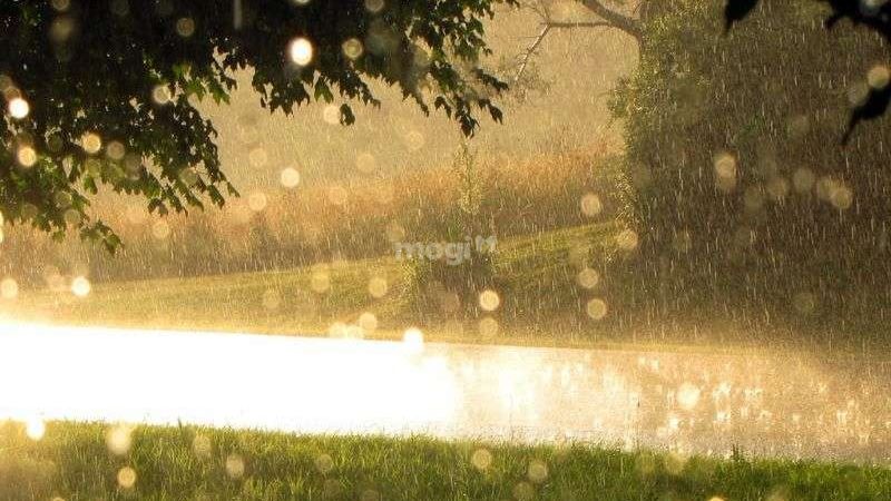 Nằm mơi thấy vừa mưa vừa nắng là điềm báo tích cực liên quan đến đường tình duyên