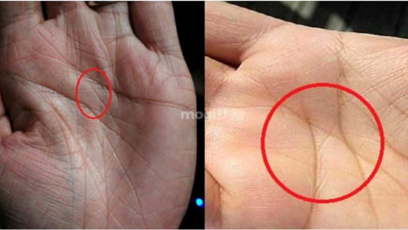 4 đường chỉ tay hiếm gặp nhất - Giải mã ý nghĩa phong thuỷ 1 Đường chỉ tay chữ X - Một trong 4 đường chỉ tay đặc biệt hiếm có