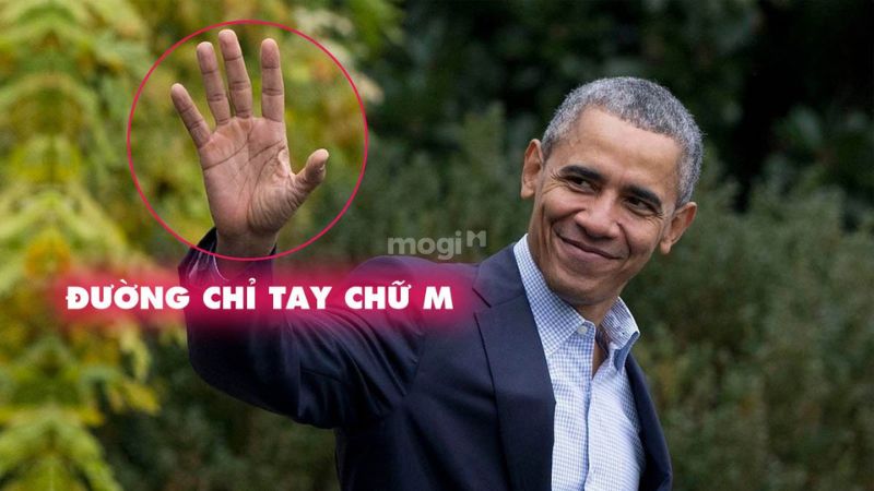 4 đường chỉ tay hiếm gặp nhất - Giải mã ý nghĩa phong thuỷ 3 Đường chỉ tay chữ M - Nằm trong số những đường chỉ tay hiếm nhất thế giới